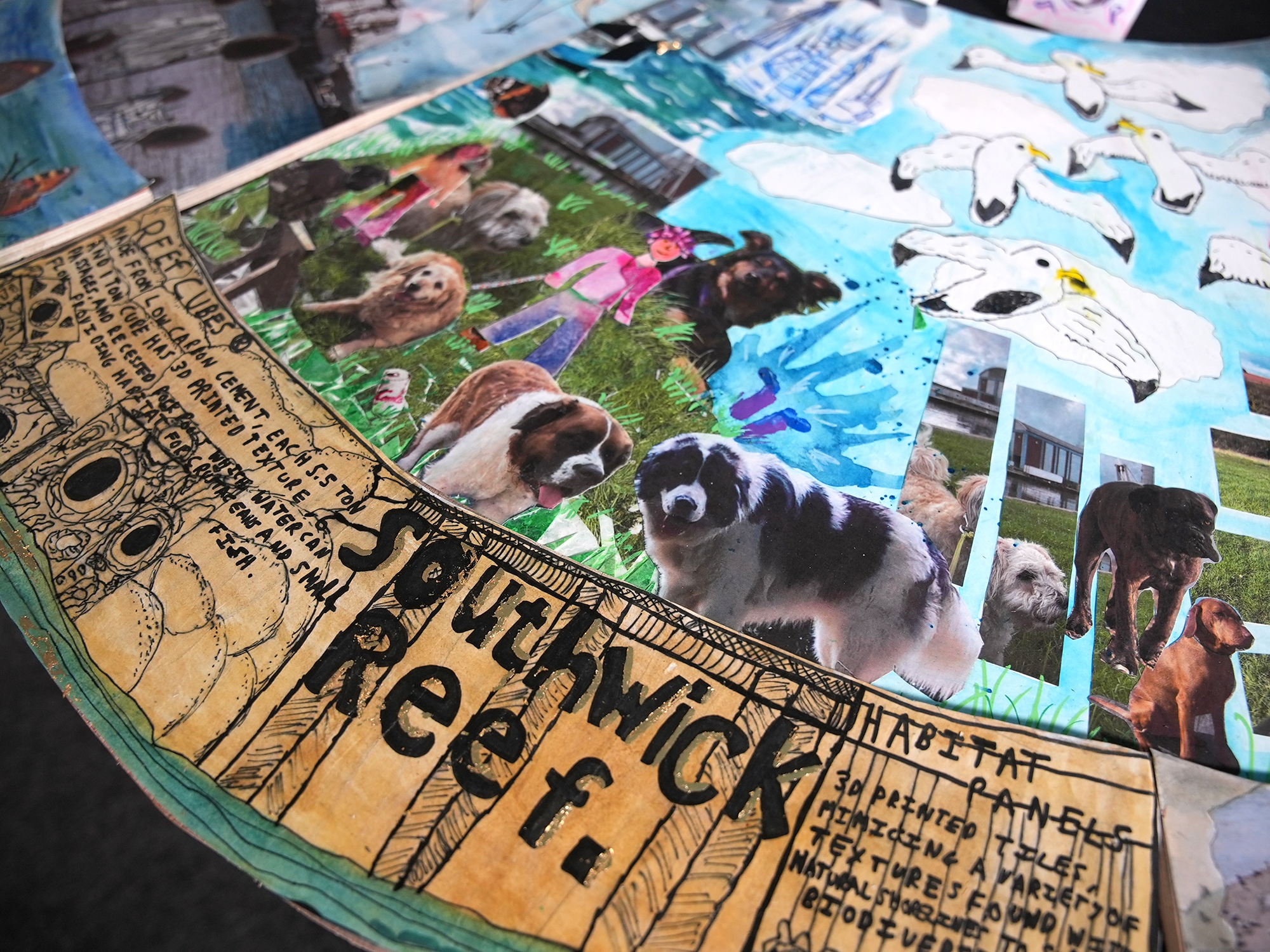 a close-up of the creative collage, showing detail of a section describing Southwick reef