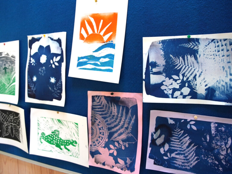 lots of prints and cyanotypes pinned to a noticeboard