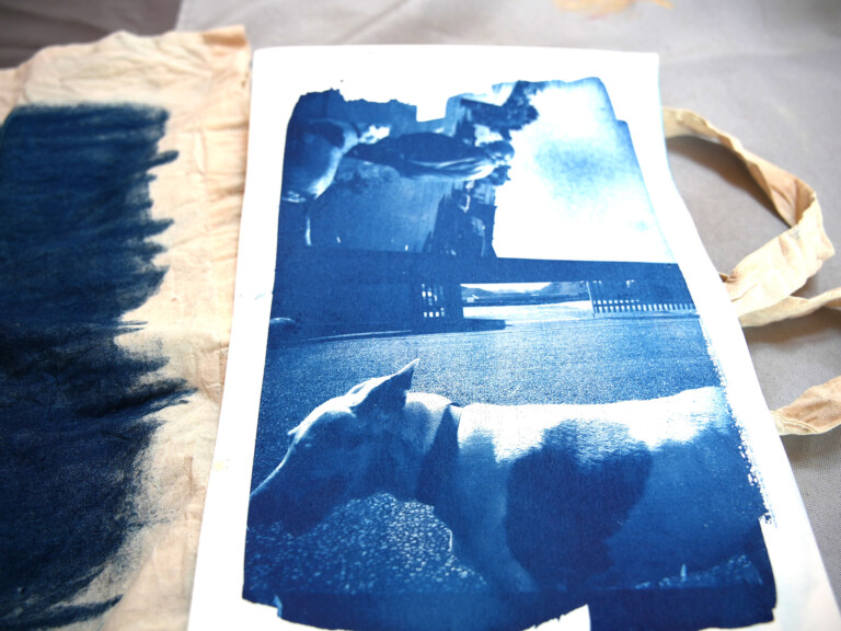 a Cyanotype (sun print) image of a dog. Cyanotype is a photographic process, it is monotone in shades of blue.