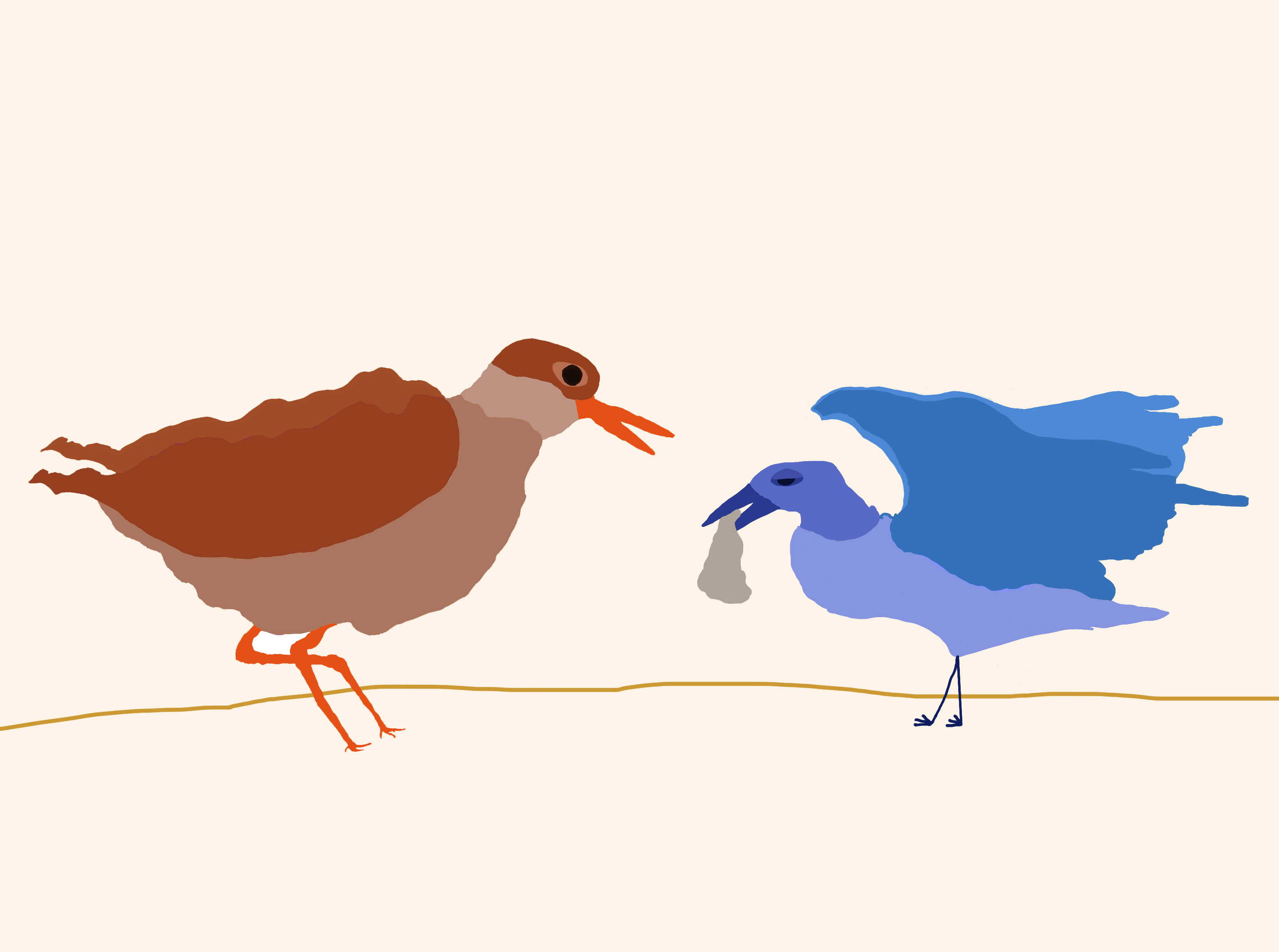2 birds are facing each other, the bird on the right has a plastic bag in its mouth